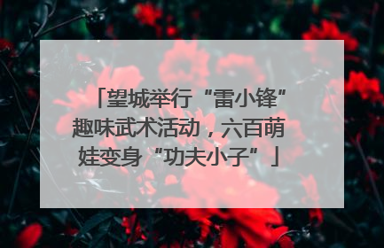 望城举行“雷小锋”趣味武术活动，六百萌娃变身“功夫小子”