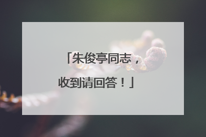 朱俊亭同志，收到请回答！