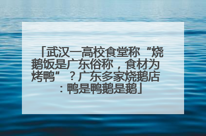 武汉一高校食堂称“烧鹅饭是广东俗称，食材为烤鸭”？广东多家烧鹅店：鸭是鸭鹅是鹅
