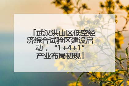 武汉洪山区低空经济综合试验区建设启动，“1+4+1”产业布局初现