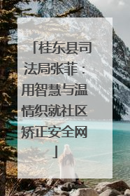 桂东县司法局张菲：用智慧与温情织就社区矫正安全网