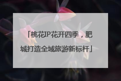桃花IP花开四季，肥城打造全域旅游新标杆