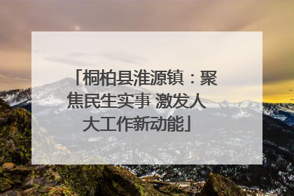 桐柏县淮源镇：聚焦民生实事 激发人大工作新动能