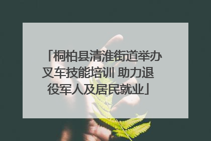 桐柏县清淮街道举办叉车技能培训 助力退役军人及居民就业