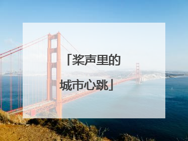 桨声里的城市心跳