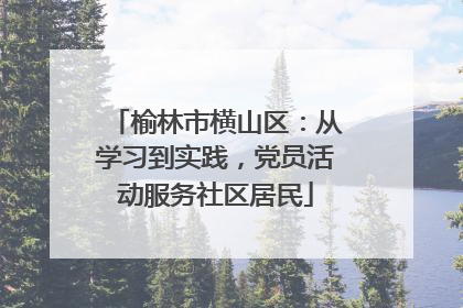 榆林市横山区：从学习到实践，党员活动服务社区居民