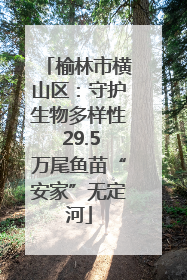 榆林市横山区：守护生物多样性 29.5万尾鱼苗“安家”无定河