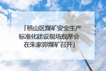 横山区煤矿安全生产标准化建设现场观摩会在朱家峁煤矿召开