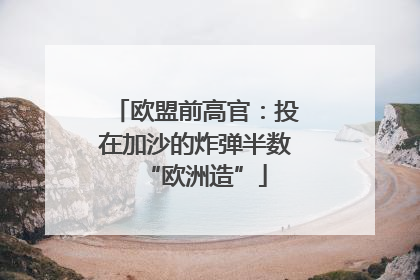欧盟前高官：投在加沙的炸弹半数“欧洲造”