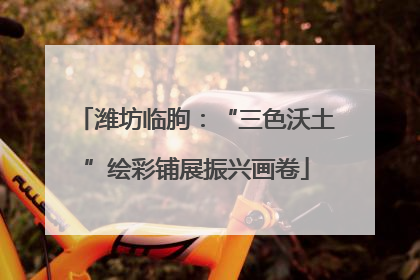 潍坊临朐：“三色沃土”绘彩铺展振兴画卷