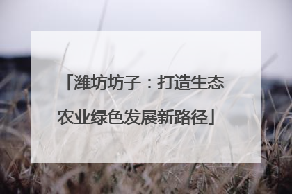 潍坊坊子：打造生态农业绿色发展新路径