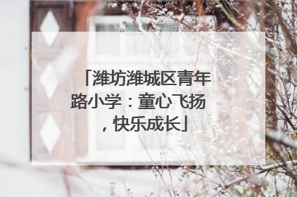 潍坊潍城区青年路小学：童心飞扬，快乐成长