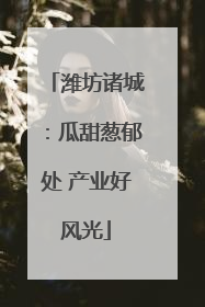 潍坊诸城：瓜甜葱郁处 产业好风光