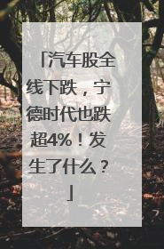 汽车股全线下跌，宁德时代也跌超4%！发生了什么？