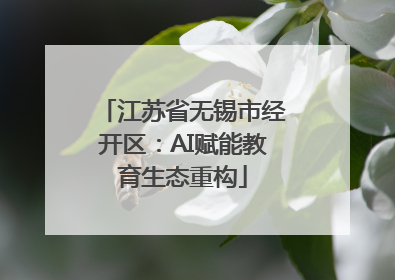 江苏省无锡市经开区：AI赋能教育生态重构
