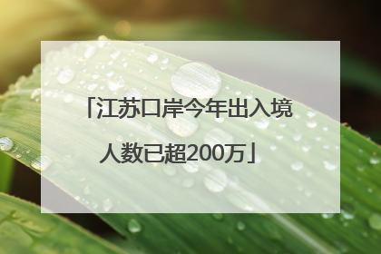 江苏口岸今年出入境人数已超200万