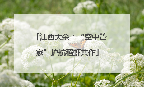 江西大余：“空中管家”护航稻虾共作