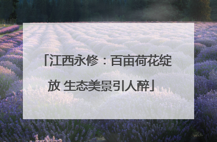 江西永修：百亩荷花绽放 生态美景引人醉