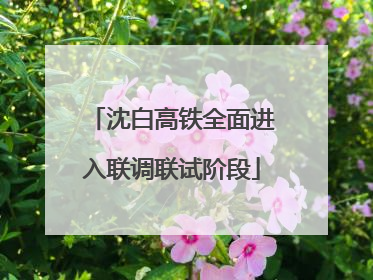 沈白高铁全面进入联调联试阶段