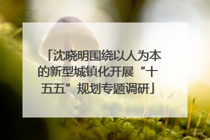 沈晓明围绕以人为本的新型城镇化开展“十五五”规划专题调研