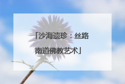 沙海遗珍：丝路南道佛教艺术