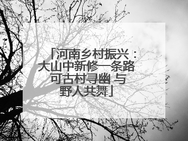 河南乡村振兴：大山中新修一条路 可古村寻幽 与野人共舞