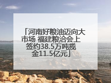 河南好粮油迈向大市场 福建粮洽会上签约38.5万吨揽金11.5亿元