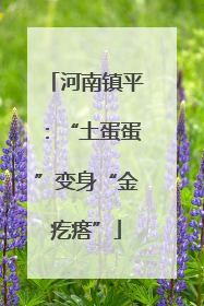河南镇平：“土蛋蛋”变身“金疙瘩”