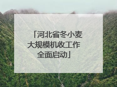 河北省冬小麦大规模机收工作全面启动