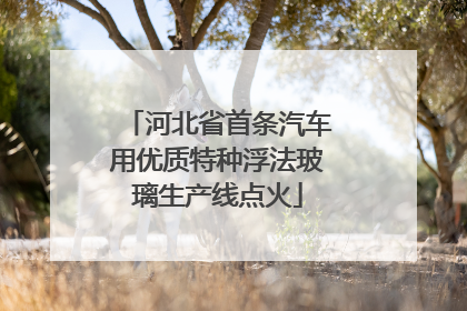河北省首条汽车用优质特种浮法玻璃生产线点火