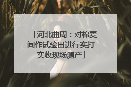 河北曲周：对棉麦间作试验田进行实打实收现场测产