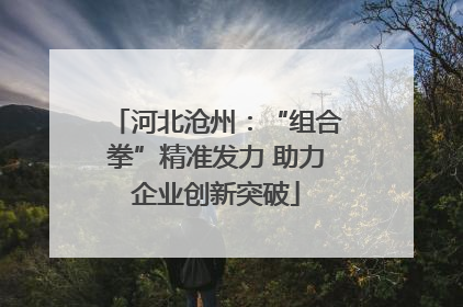 河北沧州：“组合拳”精准发力 助力企业创新突破