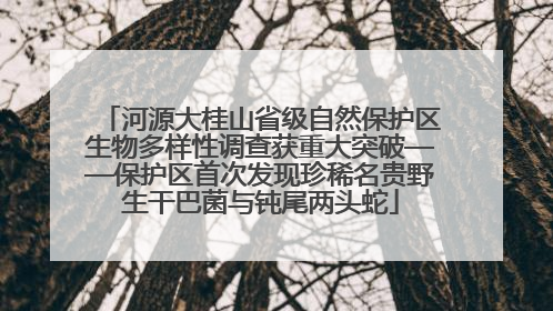 河源大桂山省级自然保护区生物多样性调查获重大突破——保护区首次发现珍稀名贵野生干巴菌与钝尾两头蛇