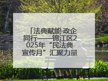 法典赋能·政企同行——锦江区2025年“民法典宣传月”汇聚力量 助推企业发展