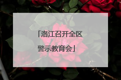 洛江召开全区警示教育会