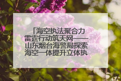 海空执法聚合力 雷霆行动筑天网——山东烟台海警局探索海空一体提升立体执法效能纪实
