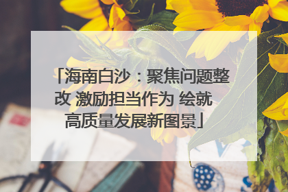 海南白沙：聚焦问题整改 激励担当作为 绘就高质量发展新图景