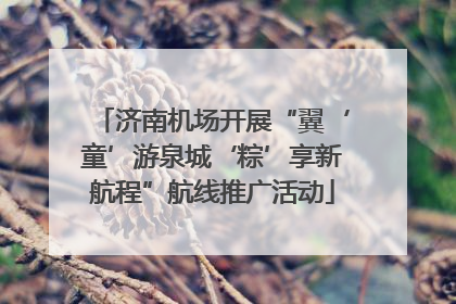济南机场开展“翼‘童’游泉城‘粽’享新航程”航线推广活动
