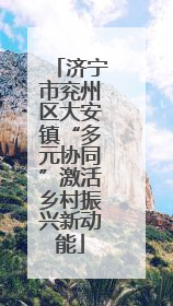 济宁市兖州区大安镇“多元协同”激活乡村振兴新动能