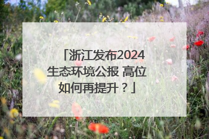 浙江发布2024生态环境公报 高位如何再提升？