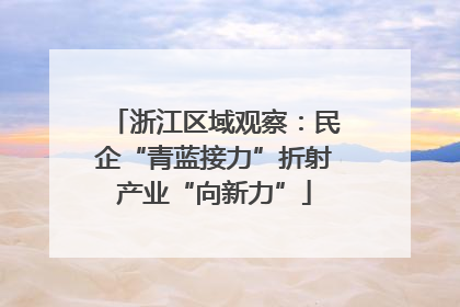 浙江区域观察：民企“青蓝接力”折射产业“向新力”