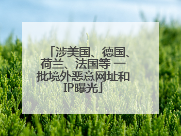 涉美国、德国、荷兰、法国等 一批境外恶意网址和IP曝光