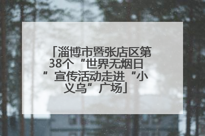 淄博市暨张店区第38个“世界无烟日”宣传活动走进“小义乌”广场