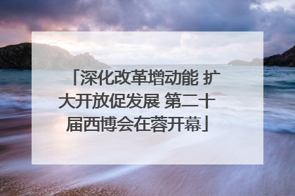 深化改革增动能 扩大开放促发展 第二十届西博会在蓉开幕