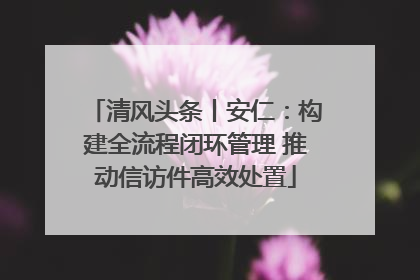 清风头条丨安仁：构建全流程闭环管理 推动信访件高效处置