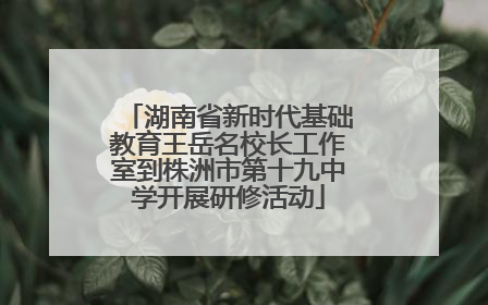 湖南省新时代基础教育王岳名校长工作室到株洲市第十九中学开展研修活动