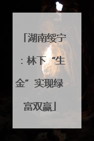 湖南绥宁：林下“生金”实现绿富双赢