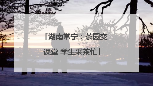 湖南常宁：茶园变课堂 学生采茶忙