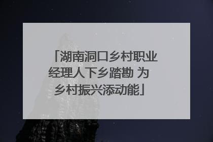 湖南洞口乡村职业经理人下乡踏勘 为乡村振兴添动能