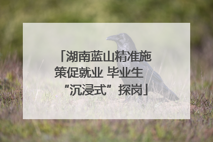 湖南蓝山精准施策促就业 毕业生“沉浸式”探岗